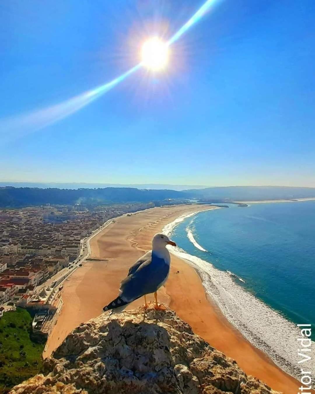 Maresia Villa Mar Nazare Ngoại thất bức ảnh